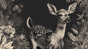 黑白小鹿置身繁花绿植间