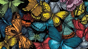 缤纷蝴蝶图案 灵动之美