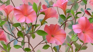 粉色牵牛花插画