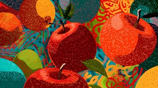 多彩苹果插画艺术作品