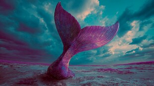 梦幻紫色鱼尾的奇幻景象