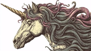 梦幻独角兽头像插画