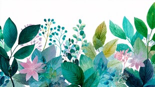 清新水彩风植物花卉边框