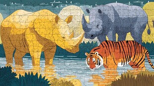 野生动物拼图插画