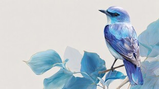 蓝羽小鸟栖于蓝叶枝头