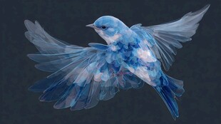 梦幻蓝羽飞鸟振翅瞬间