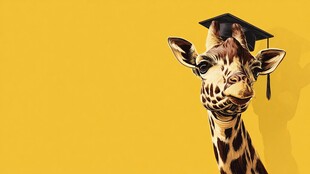 戴学士帽的长颈鹿