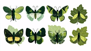 绿调蝴蝶与叶片插画集合