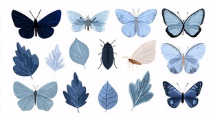 蓝色系蝴蝶与叶片插画素材