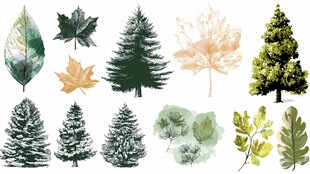 水彩风格树叶与树木素材集