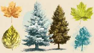 手绘树木与多彩秋叶