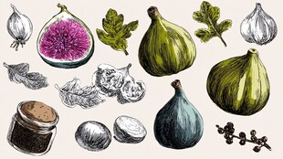 手绘无花果及相关食材