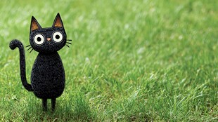 黑猫玩偶立于翠绿草地上