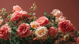 浪漫粉色系玫瑰花束