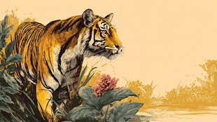 丛林中的斑斓猛虎