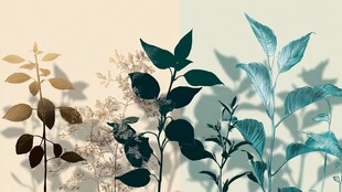 清新植物组合与光影之美