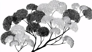 黑白风树木图案设计素材