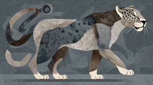 抽象风格行走的花豹图案