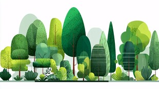 清新绿色森林树木插画