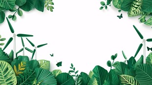 绿叶环绕的清新自然边框
