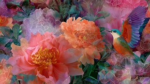 花鸟缤纷绘就绚丽景致