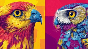 双鸟炫彩肖像画