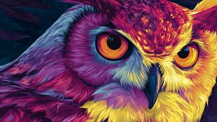 绚丽多彩猫头鹰特写