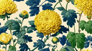 金黄菊花绿叶精美图案