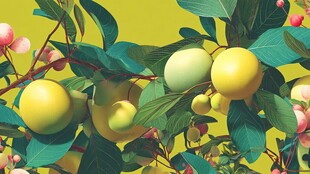 枝头硕果累累的多彩果实