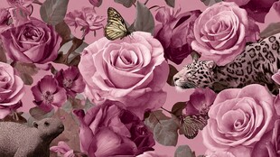 玫瑰豹蝶梦幻花卉图景