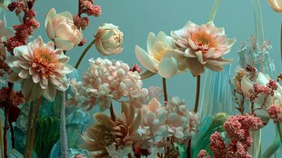 梦幻柔美花卉组合景观