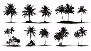 水墨风格椰子树插画