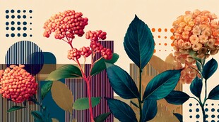 几何背景下的多彩花卉