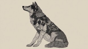 坐姿狼的精美线条插画