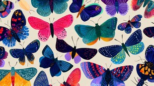 多彩蝴蝶图案 视觉盛宴