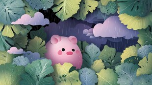 雨中萌猪藏身葱郁绿叶间