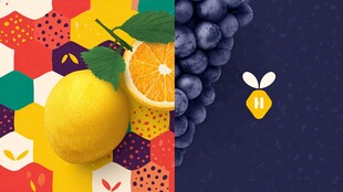 多彩水果与蜜蜂创意画面