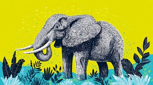 插画中的大象与绿植世界