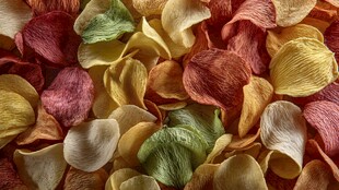 多彩薯片堆叠的诱人画面