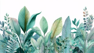 清新水彩风绿植花卉边框