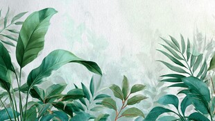 清新绿植背景图