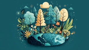 梦幻森林景观插画