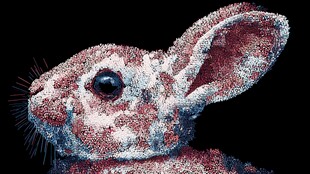 梦幻粒子风兔子头部特写