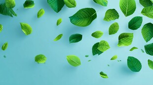 飘落的翠绿叶片