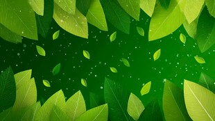 清新绿叶背景图