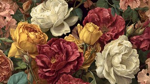 多彩盛放玫瑰花卉图