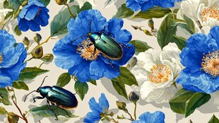 蓝白花卉上的甲虫特写