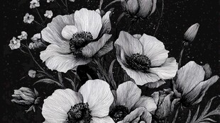 黑白花卉插画中的静谧之美