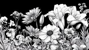 黑白花卉插画艺术之美