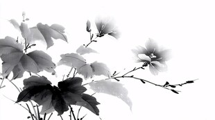 水墨花卉图